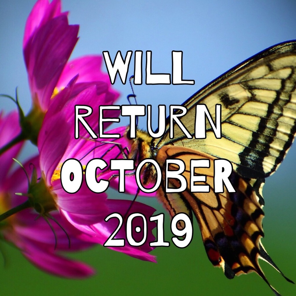 Thanks for your patience